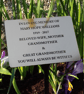 Engraved Memorial Garden Plaque Grave Marker Cemetery Grave Plaque Ornament - Image 4