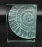 Ammonite Glass Block - Image 2