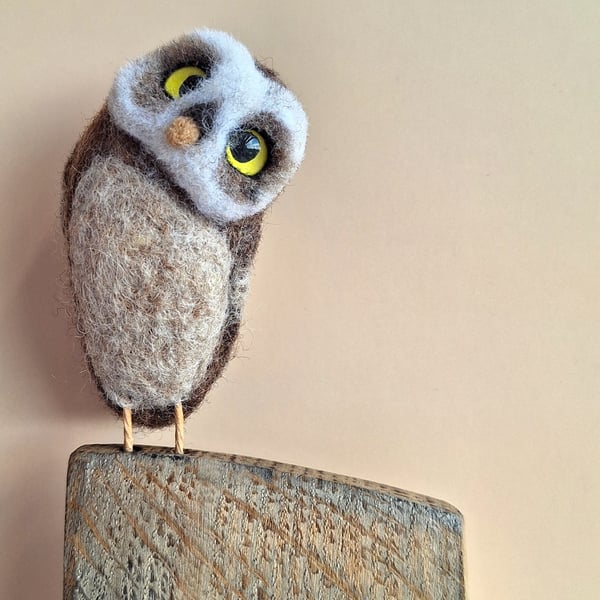 Wee Owl - Elvis