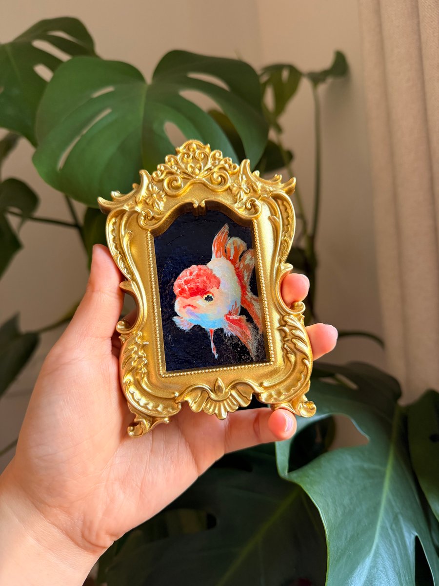 Oranda goldfish acrylic painting in gold frame