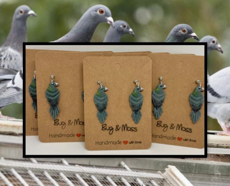 Wildlife Charity Donation Pigeon