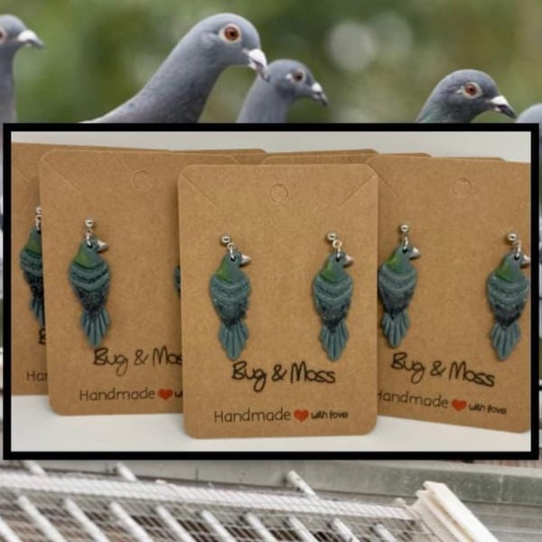 Wildlife Charity Donation Pigeon