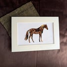 Horse Silhouette Feather Artwork – A4 