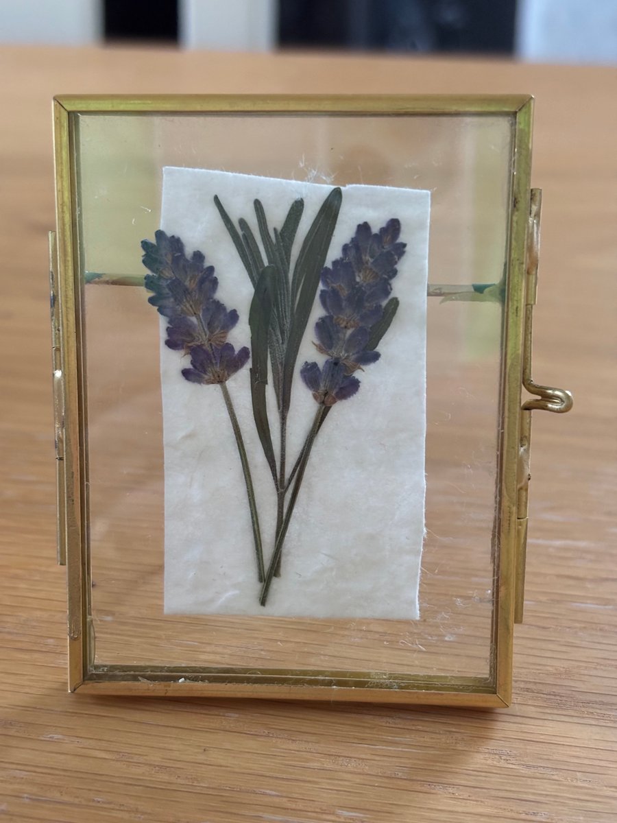Pressed English Lavender Botanical Art in a vintage glass and metal frame