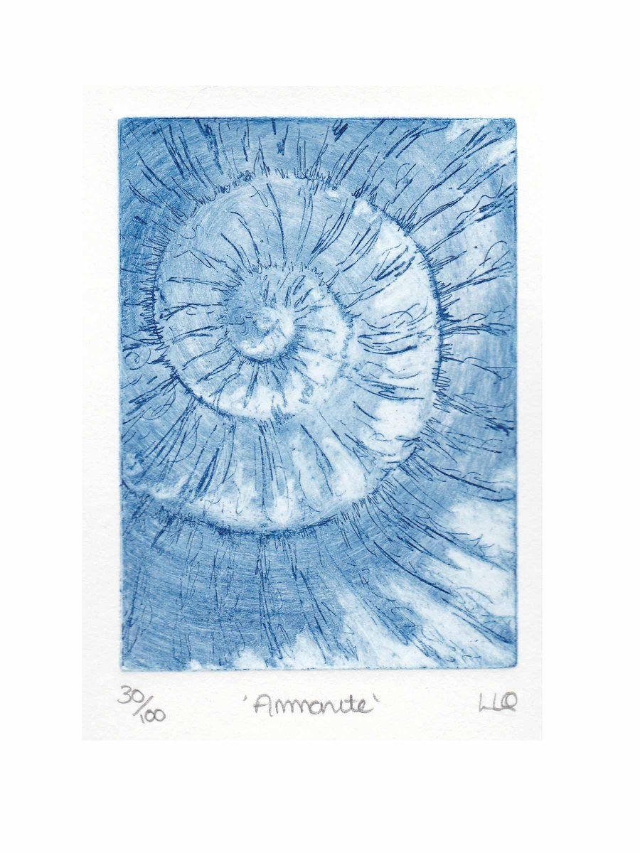 Etching no.30 of an ammonite fossil in an edition of 100