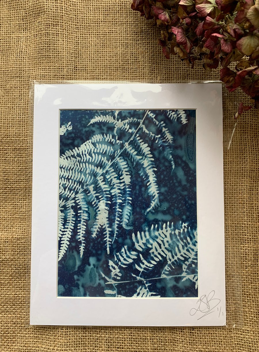 Wet Cyanotype Fern Mount