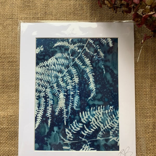 Wet Cyanotype Fern Mount