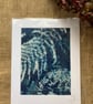 Wet Cyanotype Fern Mount - Image 1