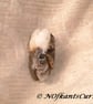 Prestige Amazonite Double Sided Fish Carved Gemstone Pendant Bead. - Image 4