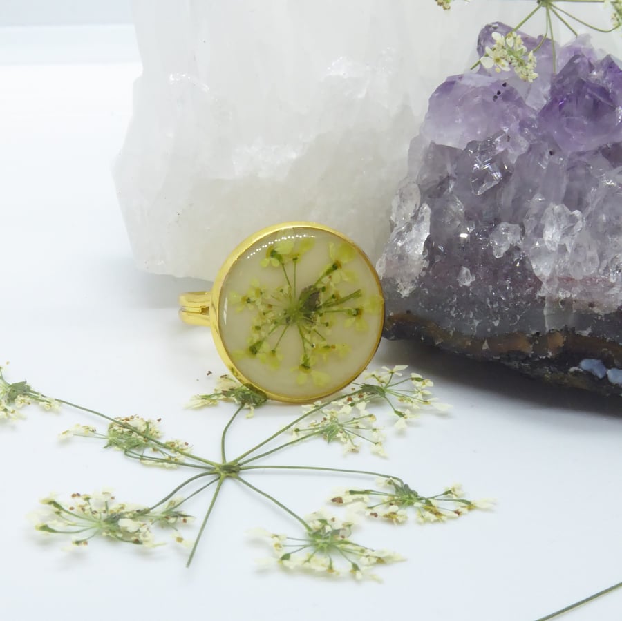 Pressed Flower Ring, Queen Anne's Lace on Ivory Resin, adjustable ring