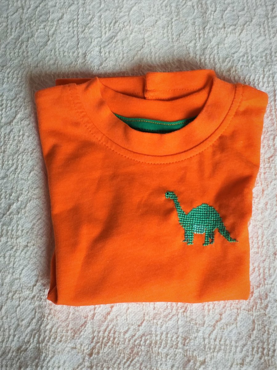 Dinosaur T-shirt, age 12-18 months, hand embroidered
