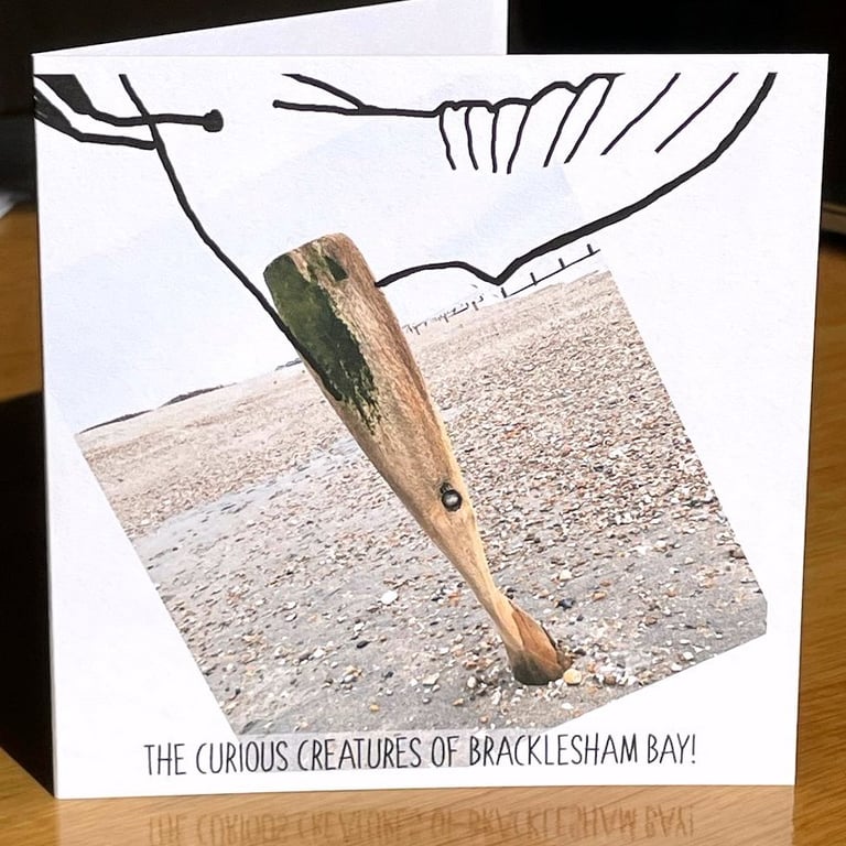 Diving Bird; 13.5 cm squaregreetings card, blank inside