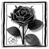 'Gothic' - Black Leather Rose