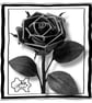 Black Leather Rose - Alternative Gothic Gift