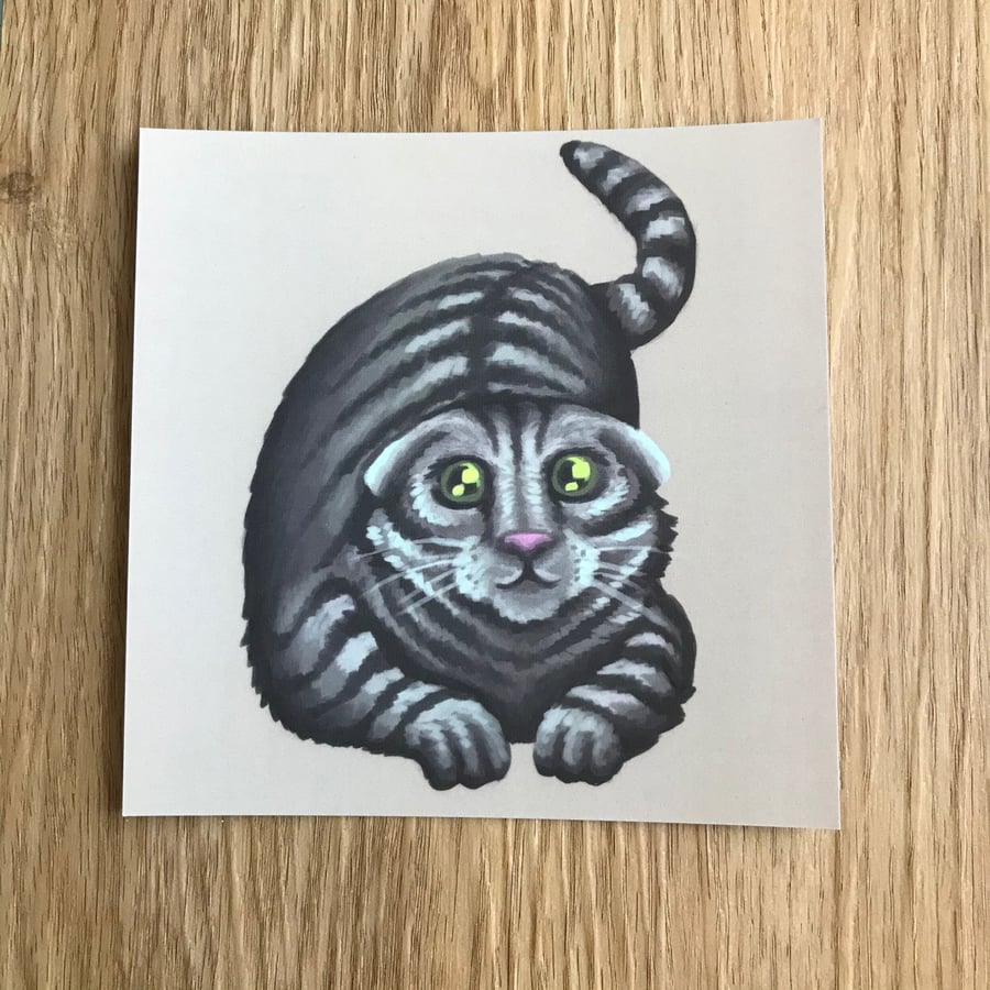 Scottish Fold Cat Square Post Card Print