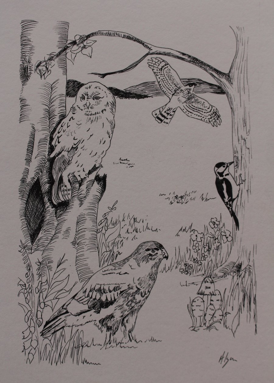 Woodland birds