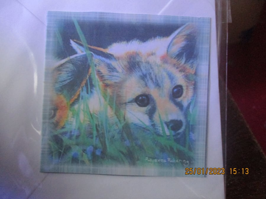 Fox Cub Mini Card