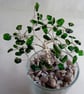  Chrome Diopside Gemstone Tree. - Image 6