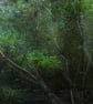 'What The River Says (1)' - Image 2