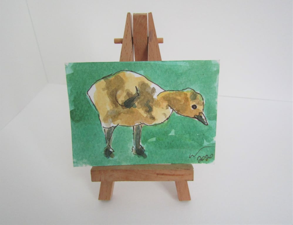ACEO Art Gosling Look Original Watercolour & Ink Painting OOAK