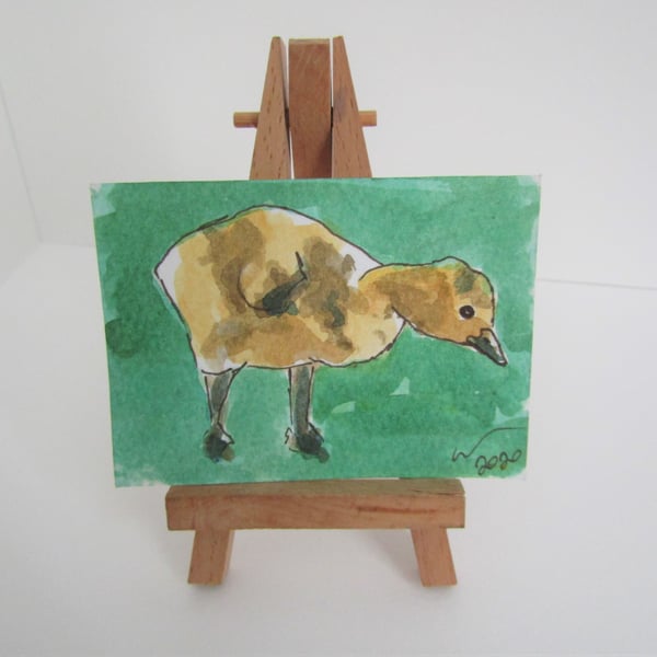 ACEO Art Gosling Look Original Watercolour & Ink Painting OOAK