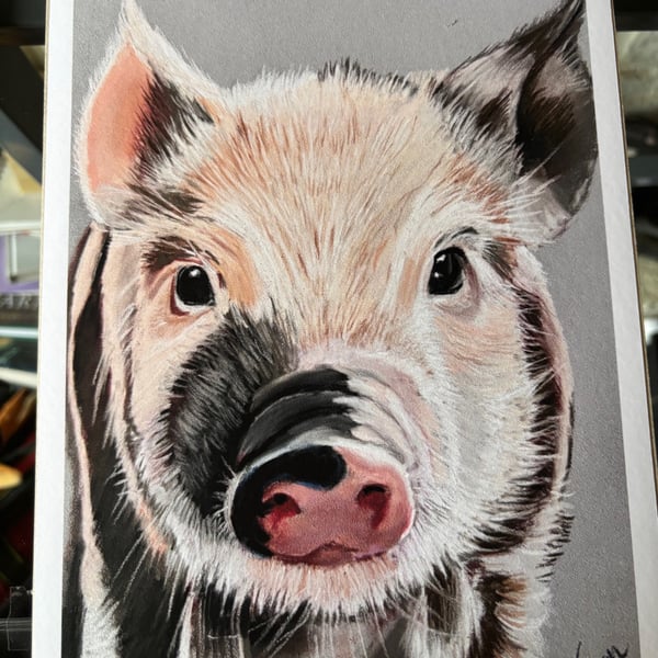 This little piggy