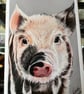 This little piggy