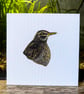 Female Eurasian Blackbird Acrylic Portrait Painting 