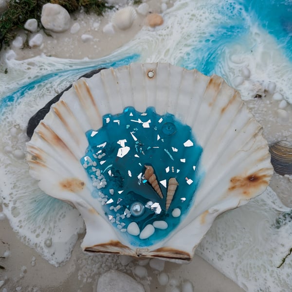 Hanging Shell With Resin Rockpool