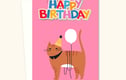 Mixed Cards