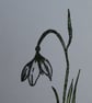 Sending Love Card - Snowdrop - Image 4