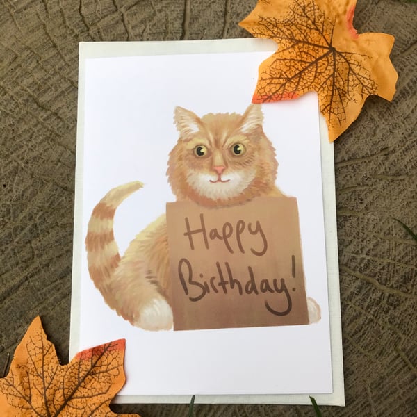 Happy Birthday Cat Greeting Card