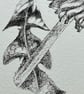 Dandelion resilience - Image 4