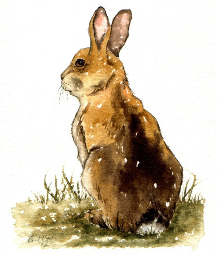 Watercolor sketch - Ubiquitous Rabbit