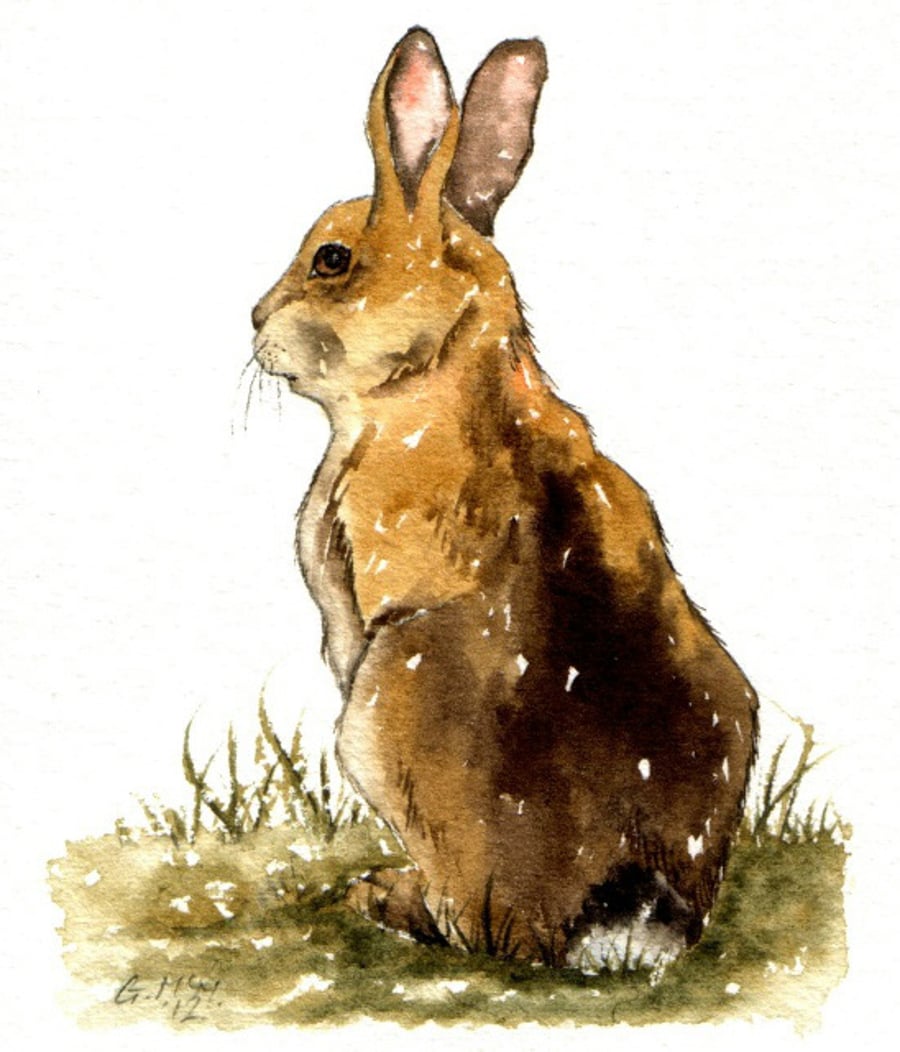 watercolor-sketch-ubiquitous-rabbit-folksy
