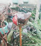 Pot Robin - Image 4