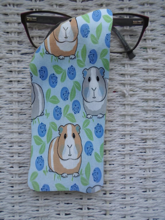 Blue Berries Guinea Pigs Glasses Case 
