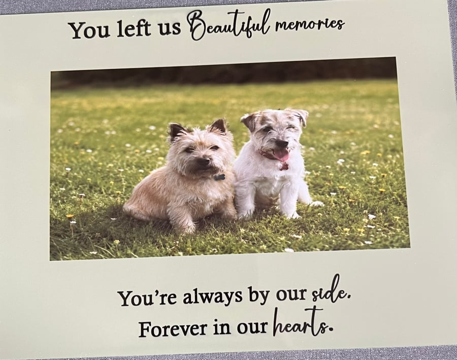 Personalised Pet Memorabilia aluminium photo plaque