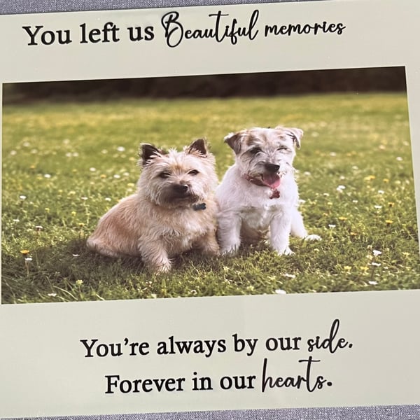 Personalised Pet Memorabilia aluminium photo plaque