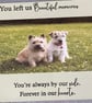 Personalised Pet Memorabilia aluminium photo plaque