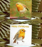 Exclusive Handmade Christmas Robin Greetings Card on Archive Photo Paper - Image 1