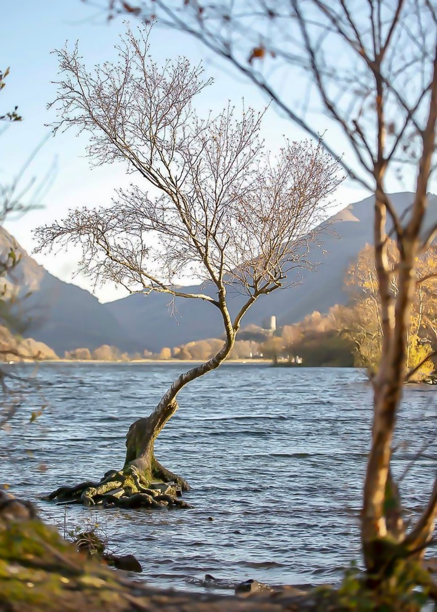 Llyn Padarn Llamberis Wales - Photographic Print Greetings Card