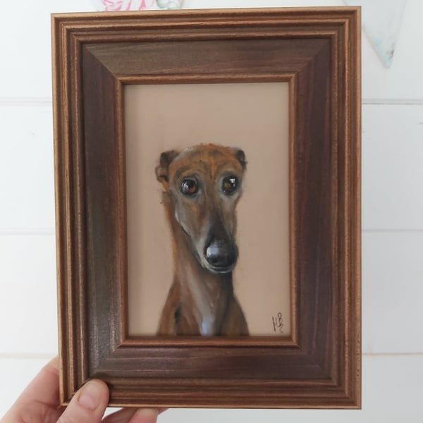 Framed Original Art Soft Pastel Sighthound Greyhound Whippet Dog