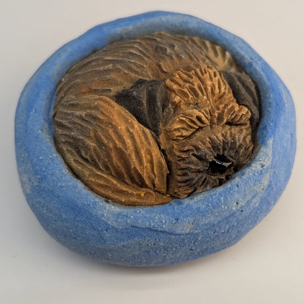Border Terrier Yorkshire Pudding - 12