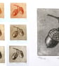 Acorn drypoint no.5 of 10 forest floor shades of autumn small scale print - Image 5