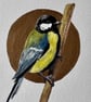 Original watercolour painting Great Tit British bird artwork wildlife art.