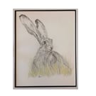 Hare