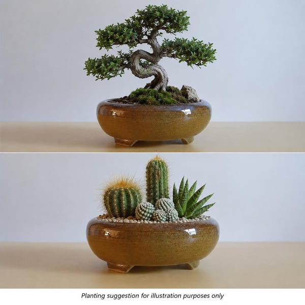 Handmade Round Bonsai Pot 16.5cm Stoneware with Earth Glaze