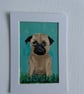 Original pug portrait. Colourful, 5x7" acrylic 
