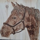Horse design burnt onto natural wood